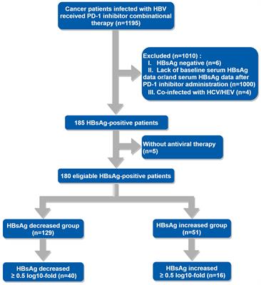 The occurrence of immune-related adverse events is an independent risk factor both for serum HBsAg increase and HBV reactivation in HBsAg-positive cancer patients receiving PD-1 inhibitor combinational therapy